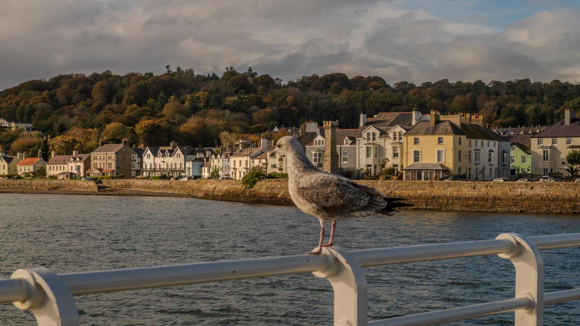 Castle Court Beaumaris Exterior foto